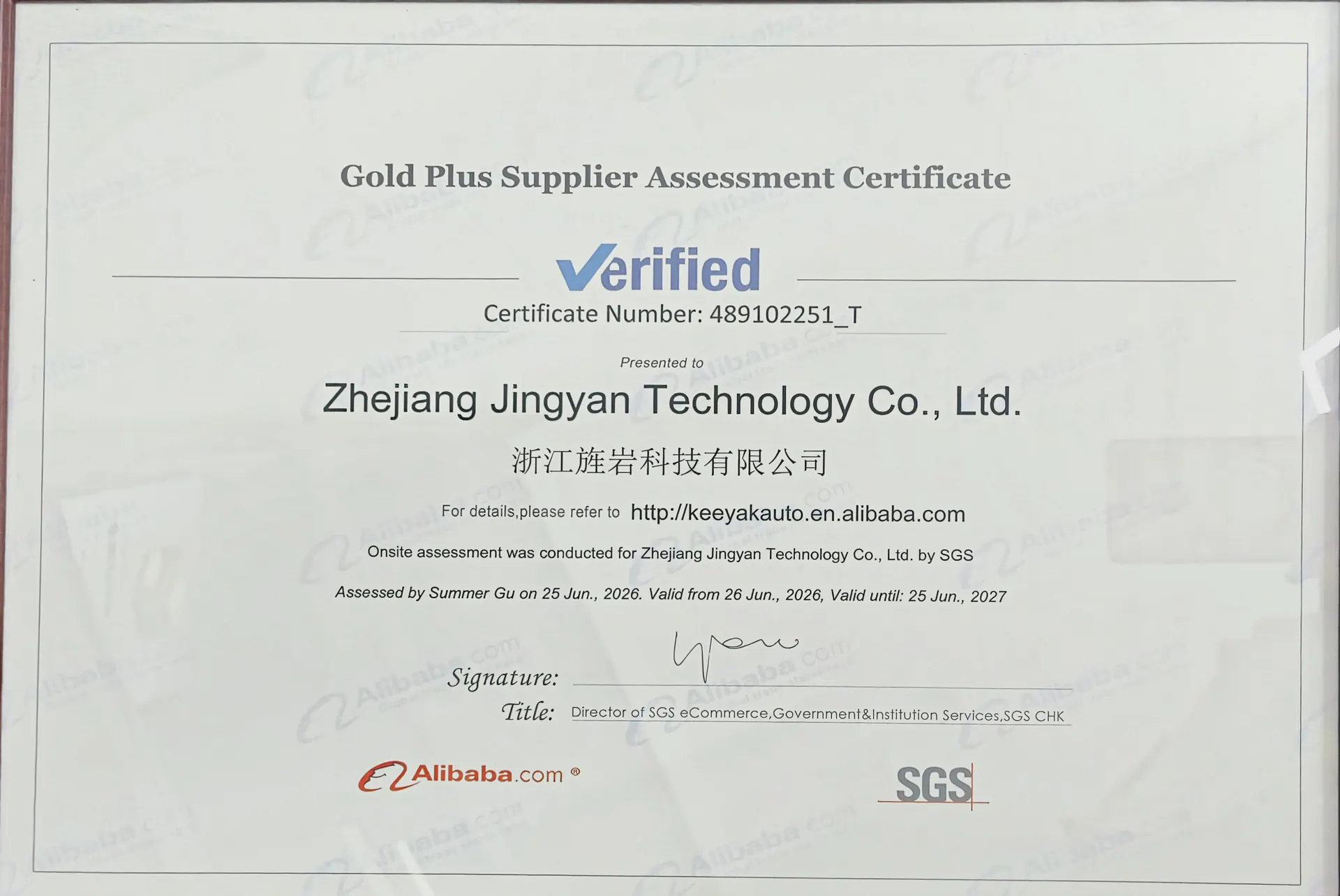 SGS сертификат оценки поставщика Gold Plus для Zhejiang Jingyan Technology в 2026