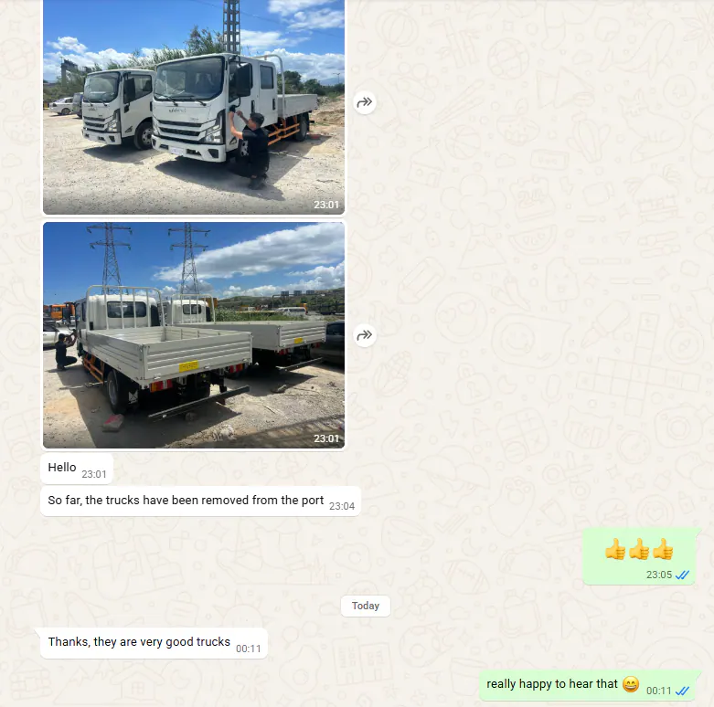 The customer shares photographs of both trucks after port collection and sends their feedback.