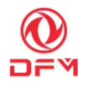 DFM logo